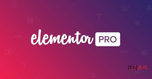 Elementor Pro v3.2.2 世界领先的WordPress页面构建器-江湖源码