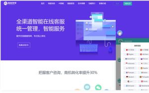 Ai智能客服系统在线客服源码+多语言+桌面推送-江湖源码