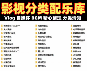 影视配乐素材库，全中文分类，超40GB内容，适合自媒体剪辑、vlog配乐、BGM等，素材无任何广告-江湖源码