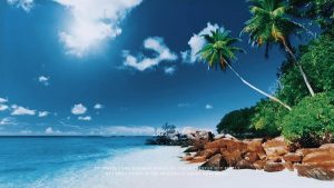 900+剪映模板 企业文化 旅游相册 电影特效 婚礼节日等各种场景 导入模板素材秒出大片-江湖源码